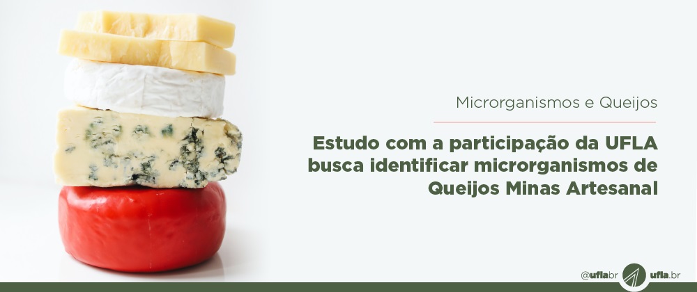 Mais aroma e sabor para o Queijo Minas Artesanal é uma das promessas de pesquisa feita em parceria com a UFLA