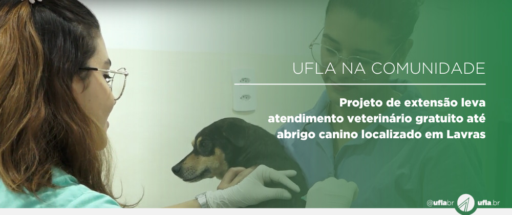 Projeto de extensão leva atendimento veterinário gratuito até abrigo canino localizado em Lavras