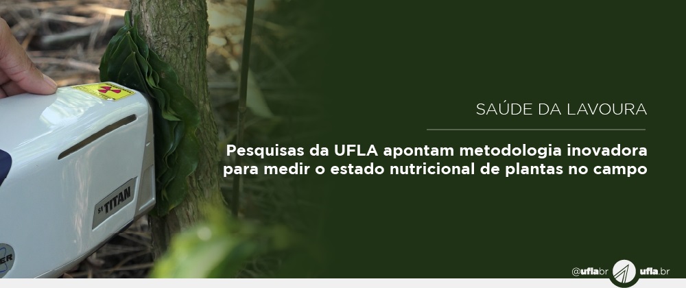 Pesquisas da UFLA apontam metodologia rápida e precisa para medir o estado nutricional das plantas diretamente no campo