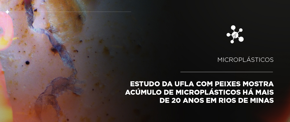 Microplásticos se acumulam há mais de 20 anos em peixes de rios de Minas, revela estudo da UFLA