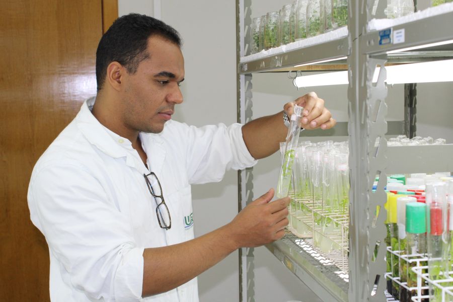 pesquisador analisa experimento em laboratório de plantas