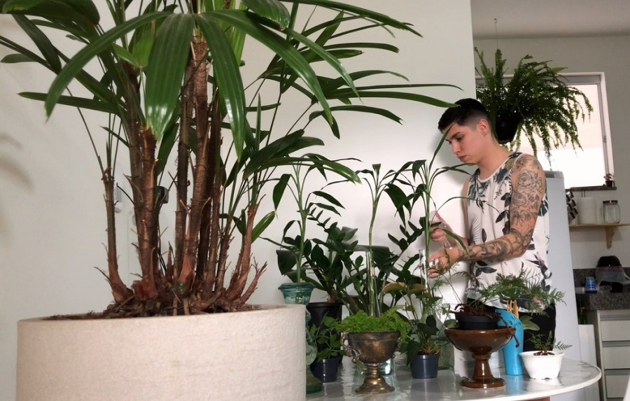 Anthony cuidando das plantas
