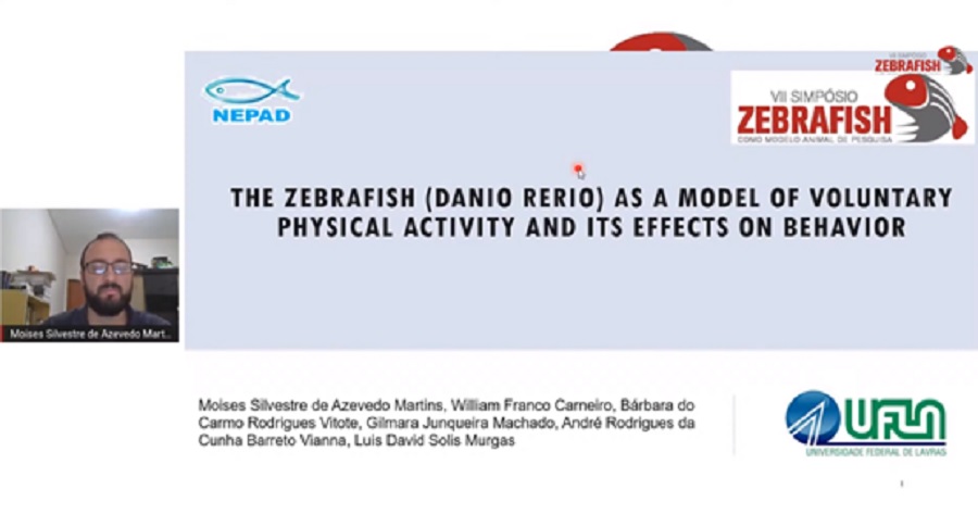 apresentação zebrafish