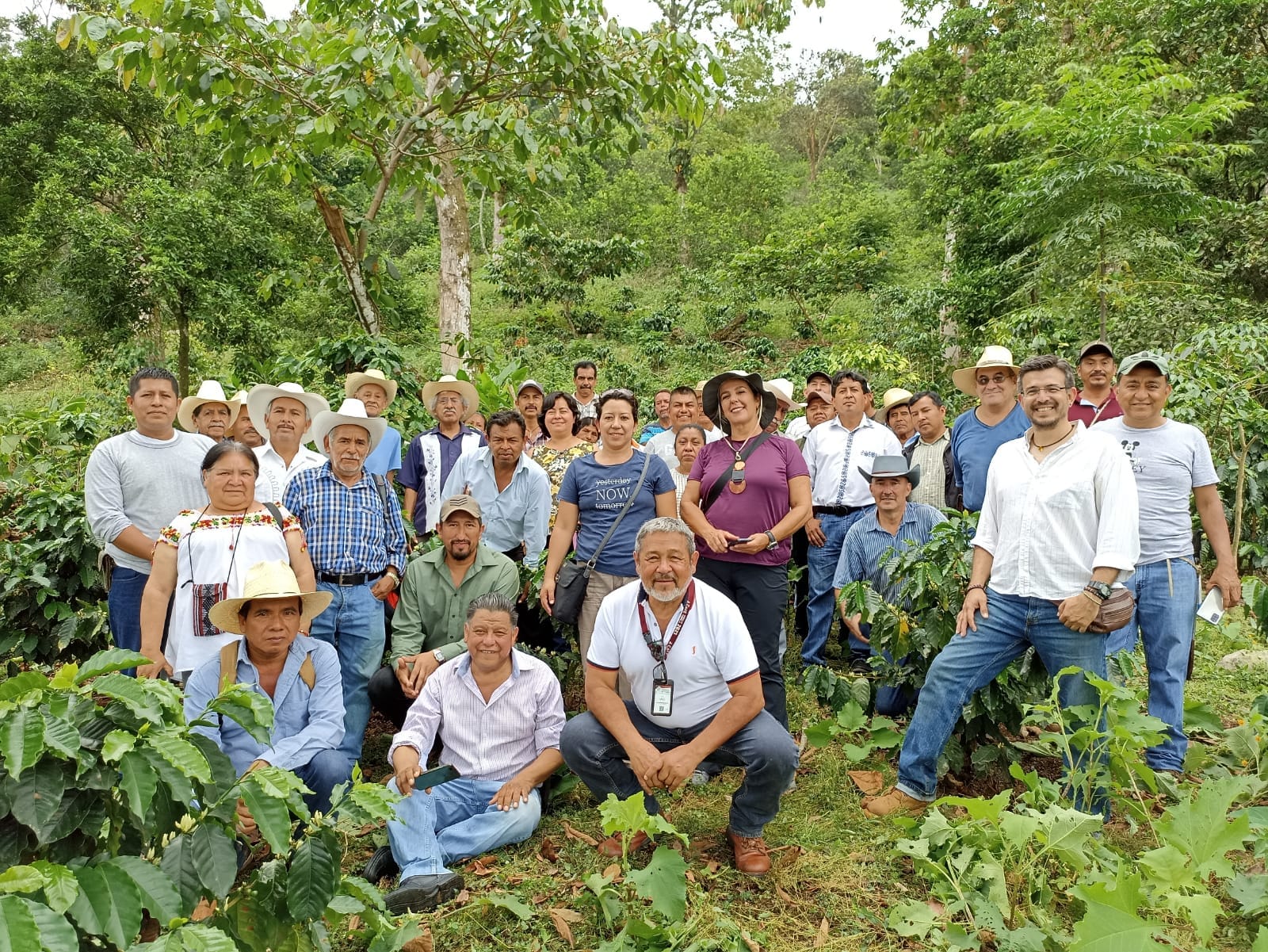 Realizada colaboração técnica no México na área de cultivos de café 