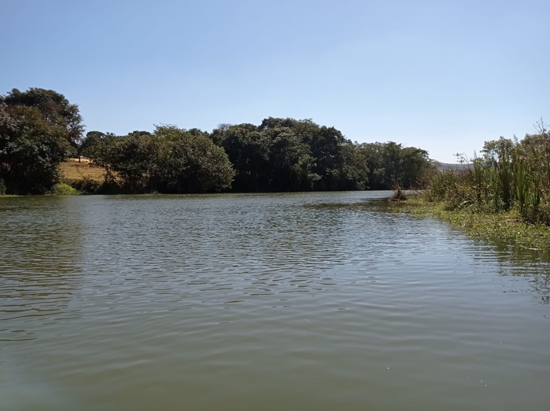 Mudanças climáticas afetam florestas alagáveis de Minas Gerais que têm importantes funções ecológicas e sociais