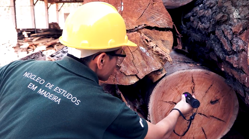 Projeto da UFLA usa tecnologia NIR portátil para caracterizar madeira em tempo real