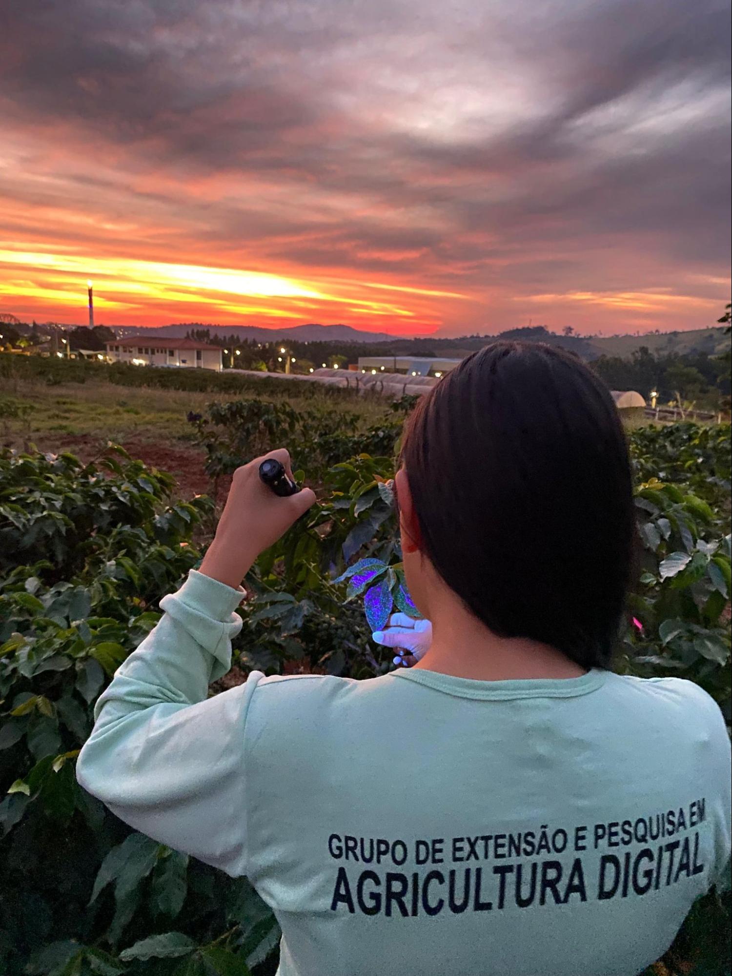 Drones como aliados da cafeicultura: Pesquisa da UFLA avalia eficiência das pulverizações feitas com o equipamento