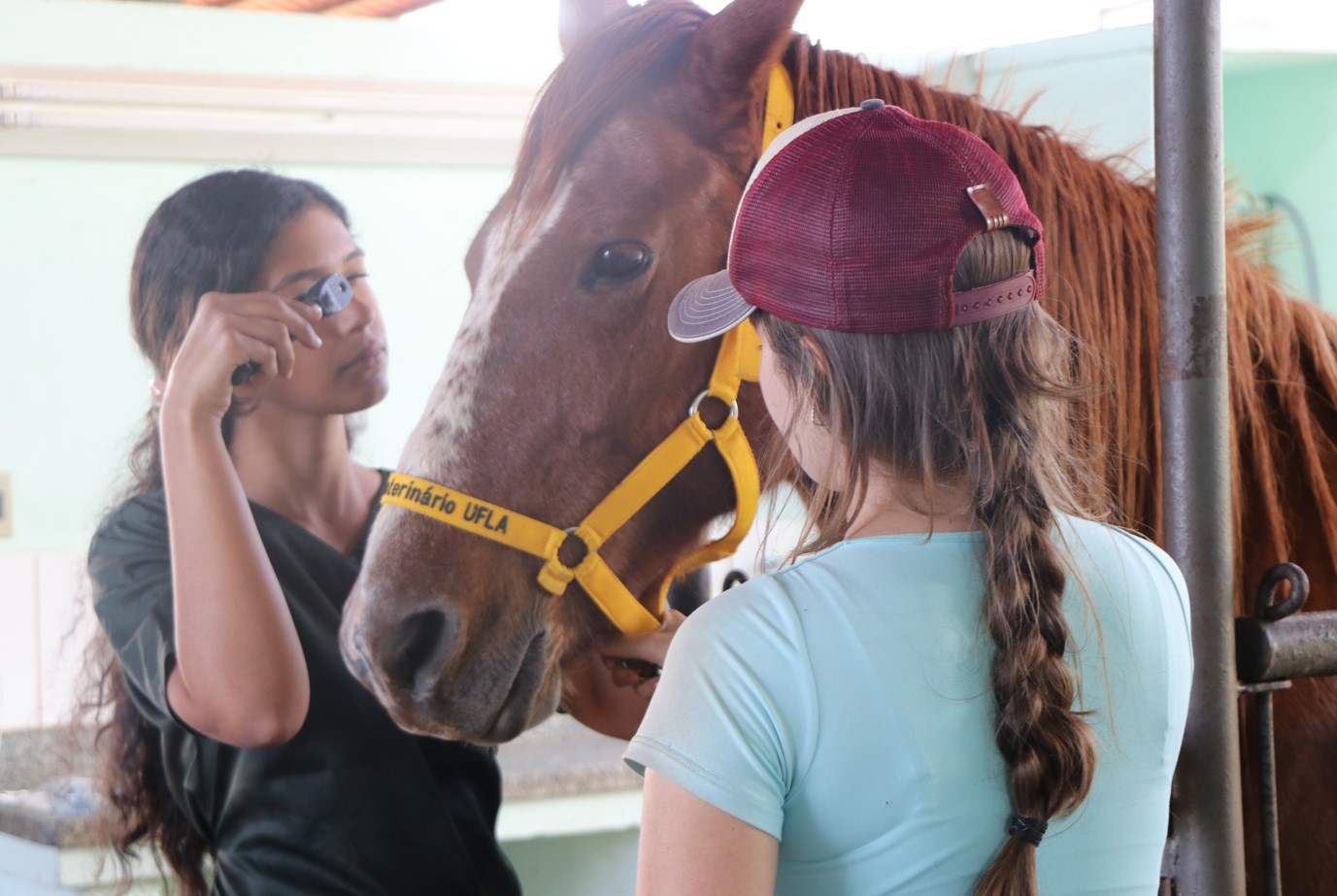 Gentileza solicitar descri&ccedil;&atilde;o da imagem