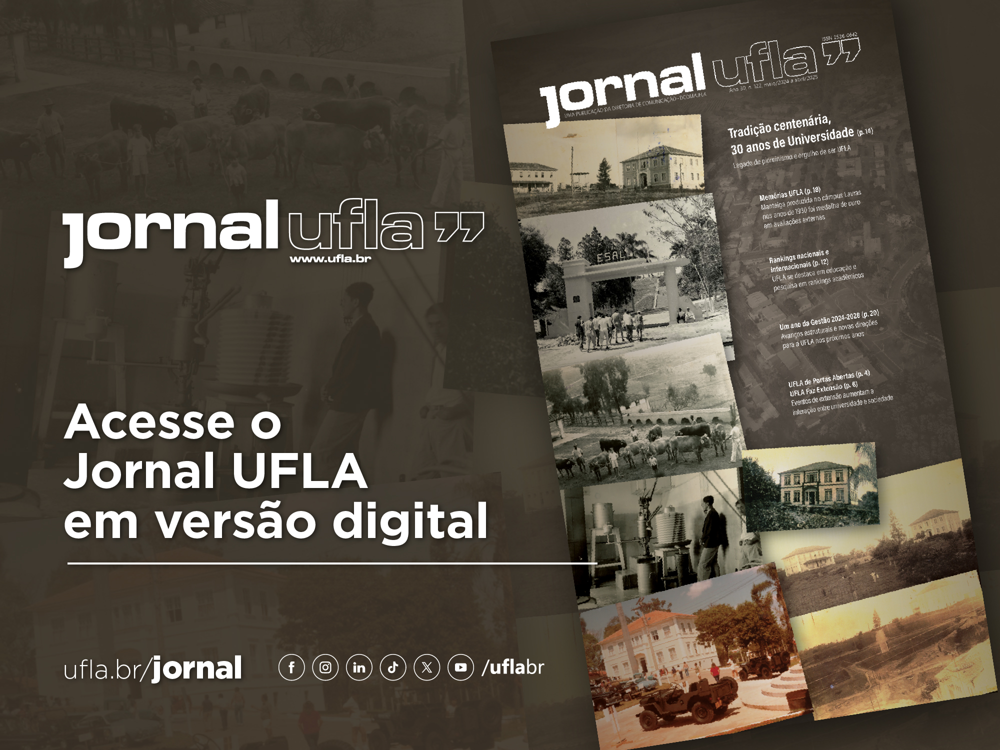 Gentileza solicitar descrição da imagem