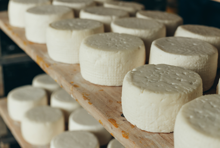 Gentileza solicitar descri&ccedil;&atilde;o da imagem