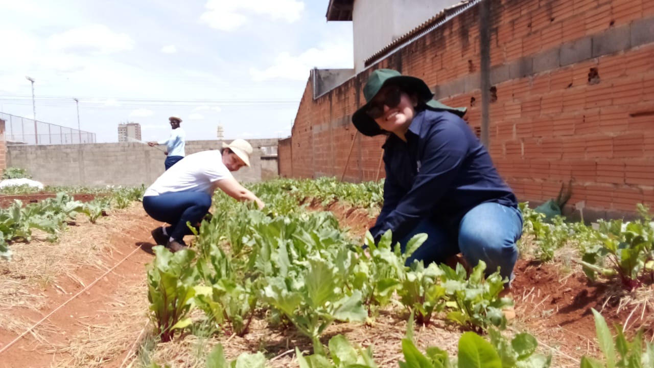 Iniciativas de extensão da UFLA integram mapa de desenvolvimento sustentável lançado durante a COP 30