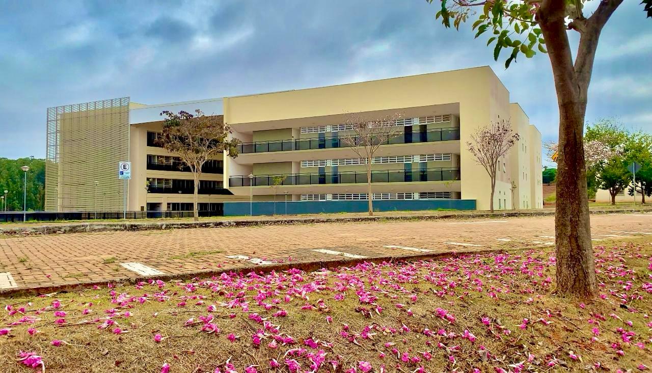 Gentileza solicitar descri&ccedil;&atilde;o da imagem