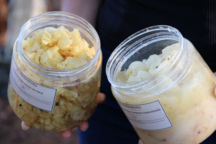 Gentileza solicitar descri&ccedil;&atilde;o da imagem