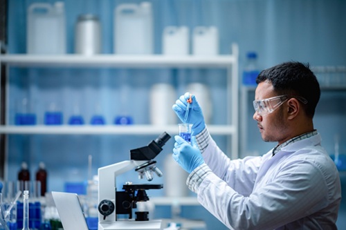 Imagem: Divulgação 