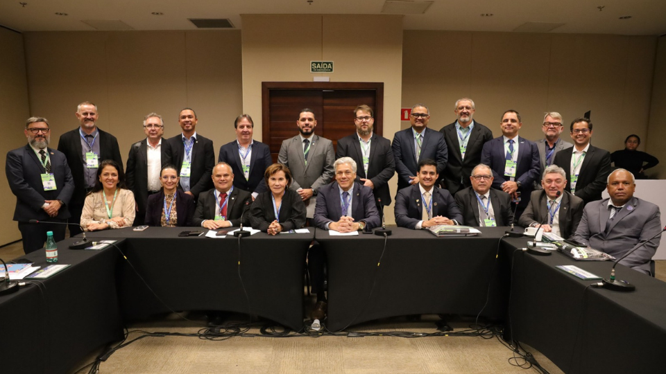 coordenadores eleitos para as camaras especializadas 2026