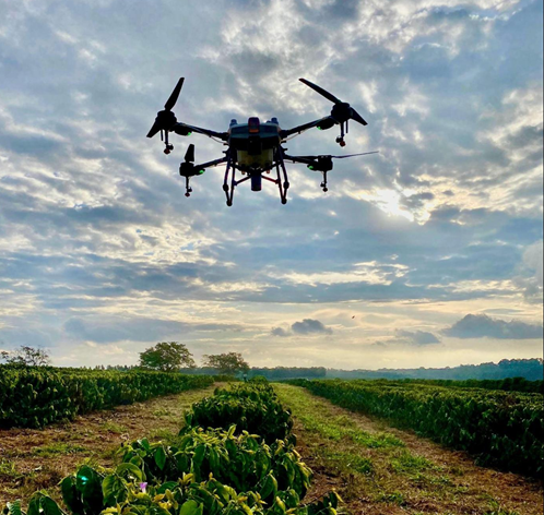 Cafeicultura: produtores são convidados a participar de pesquisa sobre adoção de tecnologias digitais no campo