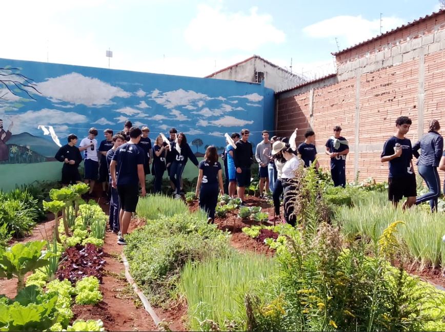 Workshop integra ciência e comunidade para fortalecer hortas urbanas em Três Pontas (MG)