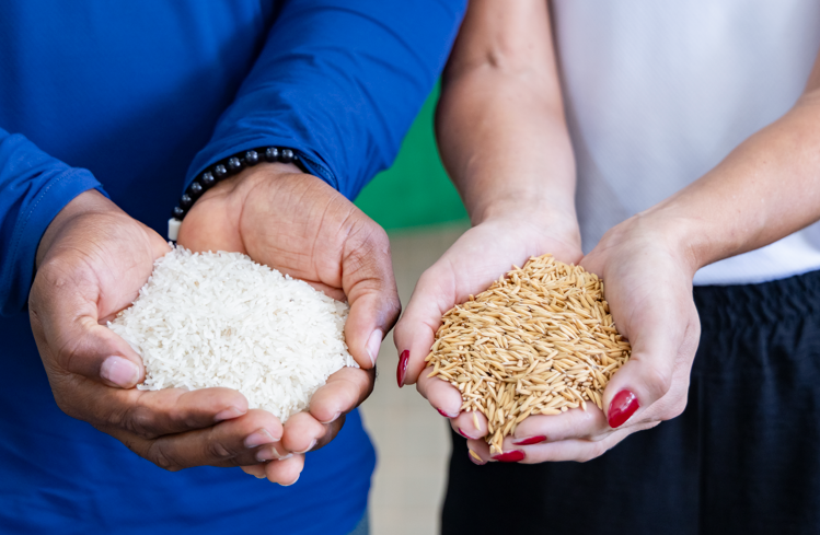  Arroz verde: pesquisa da UFLA busca tornar a produção mais sustentável e resistente à seca