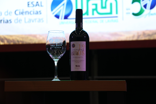 Conexão Uva e Vinho UFLA 2026 reúne ciência, produção e experiências em vitivinicultura 