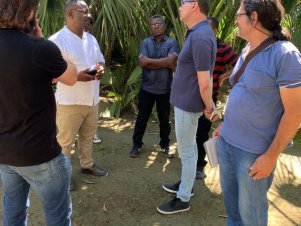 UFLA participa de cooperação humanitária no Haiti para implantar cultura do coco anão verde